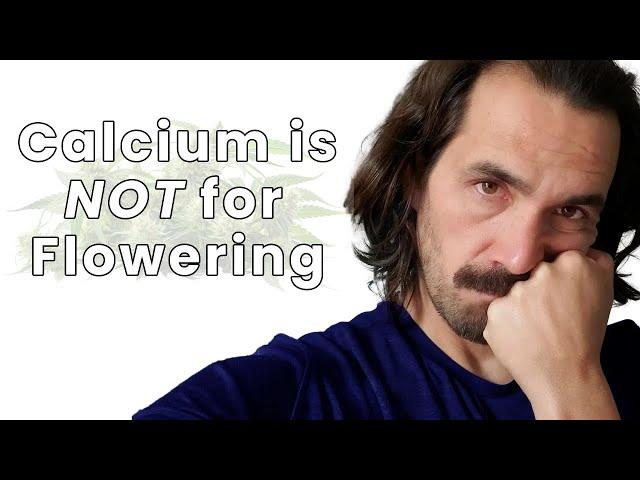 How Important is Calcium for Flowering?