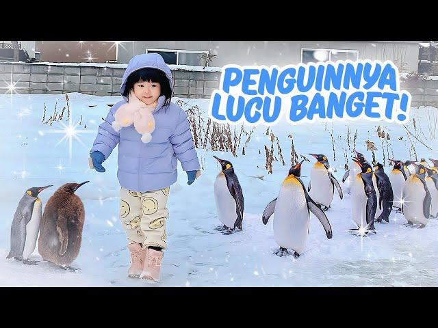 YUKA-CHAN MAIN SAMA PENGUIN DI JEPANG! | a day in our life