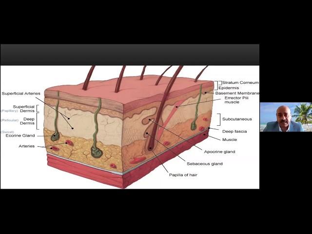 Prof. Ashraf Badawi webinar about pathogenesis of skin aging and how to design a rejuvenation plan