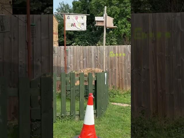 Nn3 community garden. Trying to make some of you feel safer.