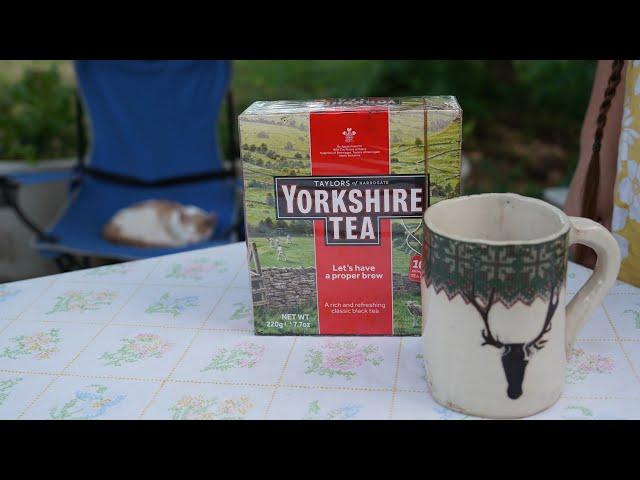 Taylors of Harrogate Yorkshire Tea tasting