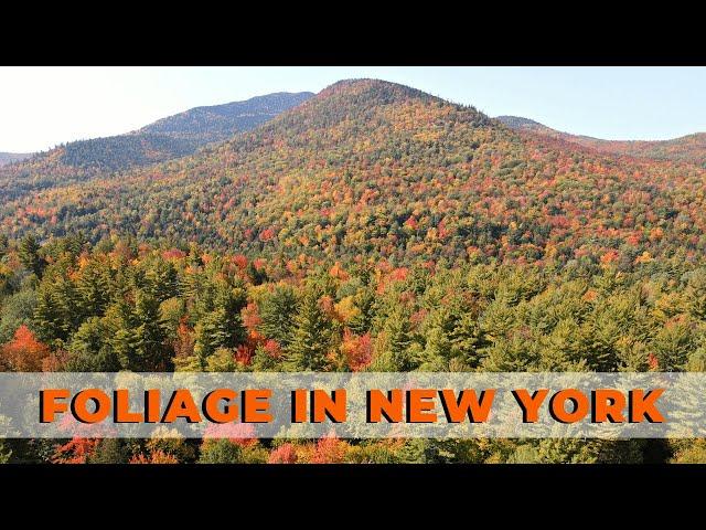 Beautiful Foliage in Upstate New York | Best of Fall 2023 | New York [4K]