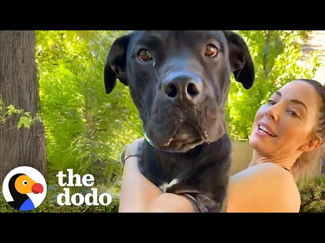 Whitney Cummings Brought Home A Dog With Two Left Legs | The Dodo