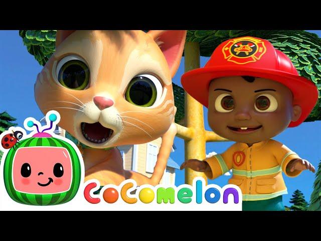 Cody to the Rescue! | Singalong with Cody! CoComelon Kids Songs