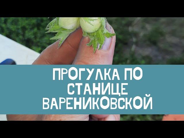 Переезд с Урала на юг// Прогулка по станице Варениковской