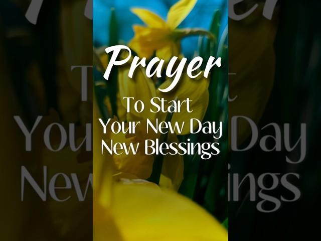 Prayer to start your new day and new blessings!️️by @the_house_of_prayers