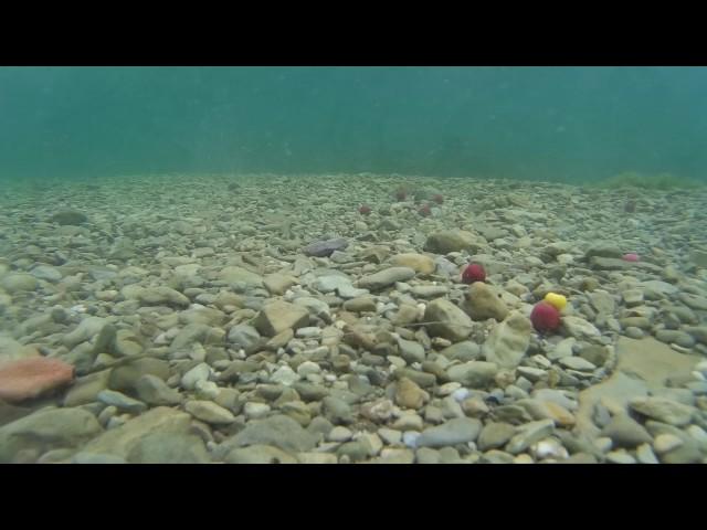 *** Sapanca Lake - Underwater Floor Structure ***