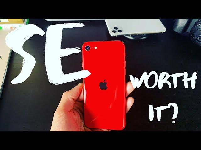 iPhone SE (2020) | DollarMike Reviews