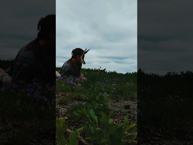 𝒮𝒾𝓁𝓁𝓎 𝓎𝑜𝓉𝑒! FW ️ [#quadrobics #therian #animalthrope #strangehuman #furry #nature #coyote #spring ]