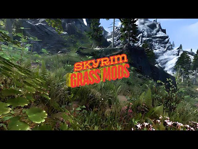 Skyrim Special Edition: BEST GRASS MODS for Xbox