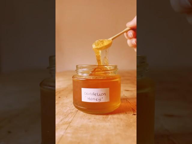 This dandelion honey is absolutely delightful!  #foraging #foragedfood