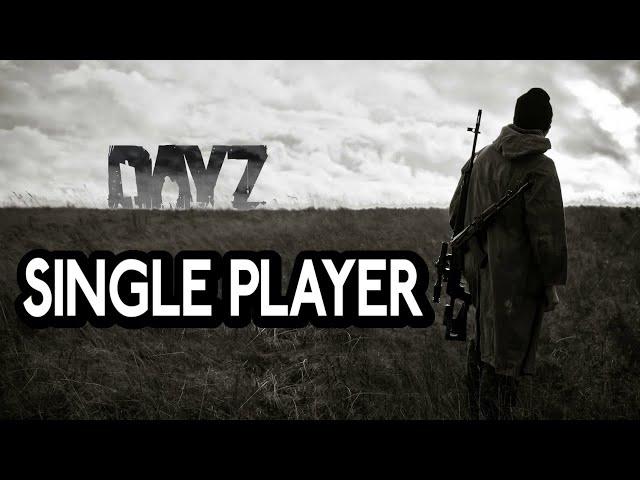 How to play DayZ in Single Player - Easy Guide