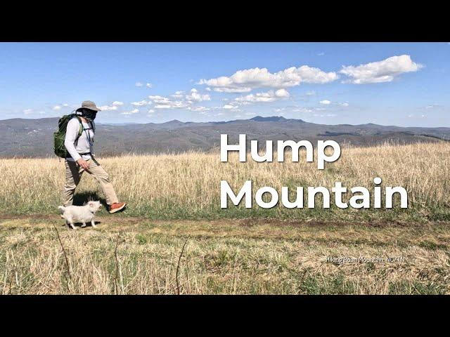 Roan Mountain's best day hike // Hiking Hump Mountain on the Appalachian Trail