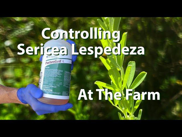 At the Farm   Controlling Sericea Lespedeza