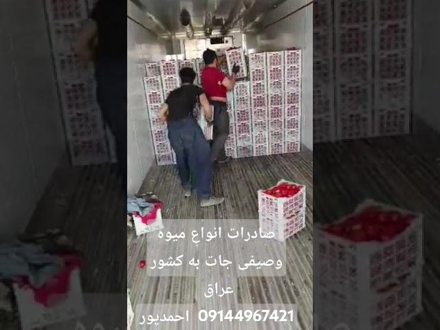 صادرات انواع میوه وصیفی جات به کشور عراق 09144967421احمدپور