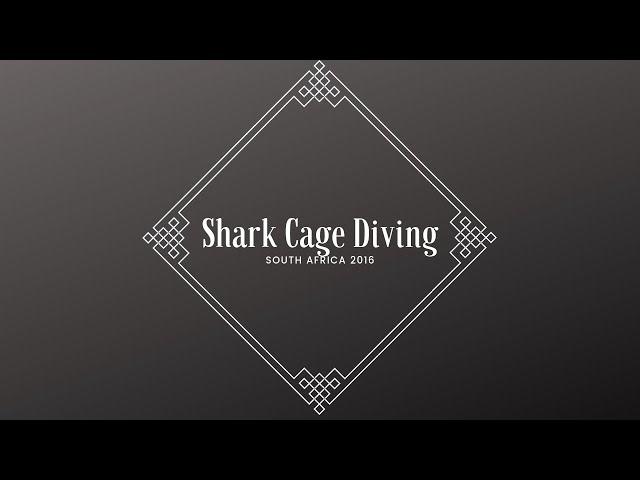 Shark Cage Diving in SA