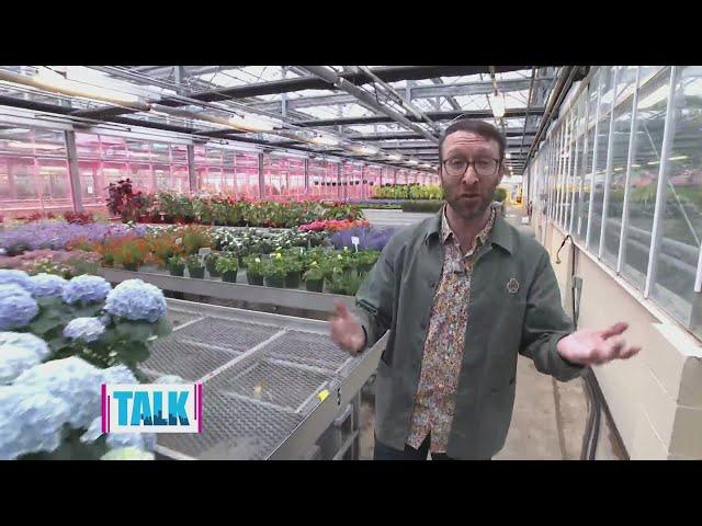 Saying hello to spring at Phipps Conservatory and Botanical Garden