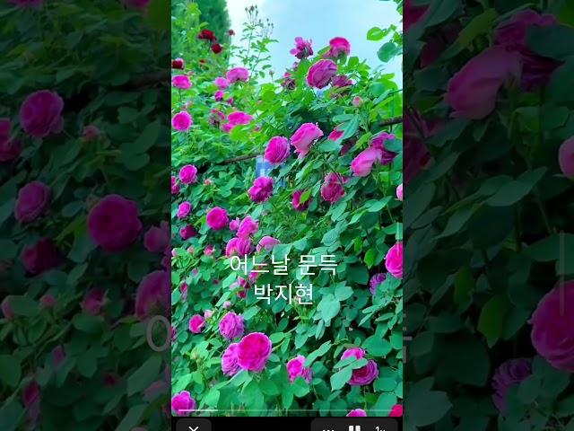 #여행 #상하이 #식물원 #박지현 #어느날문득