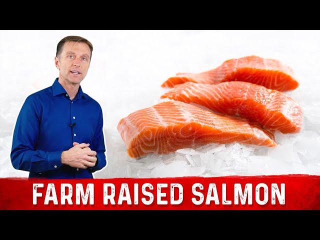 Problems with Farm Raised Salmon – Dr. Berg on Farmed Salmon vs. Wild Salmon