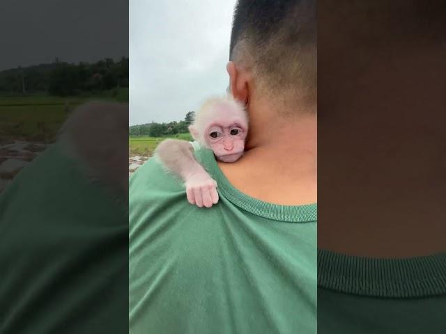 Bibi hugs dad's neck to go out