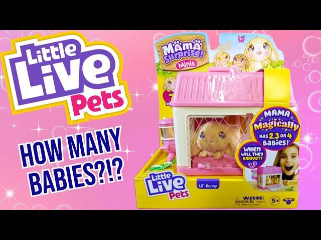 Hippity Hoppity! | Little Live Pets - Mama Surprise Minis - Bunny Edition | Adult Collector Review