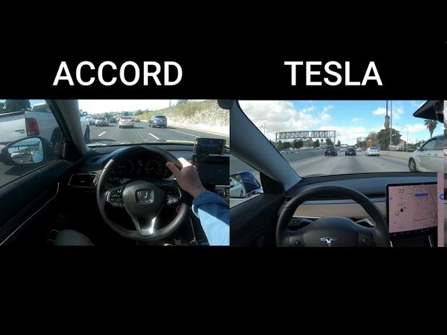 Get the Tesla  Rush Hour Traffic Experience for Peanuts with Openpilot
