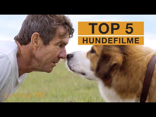 TOP 5: Hundefilme [Realfilm]