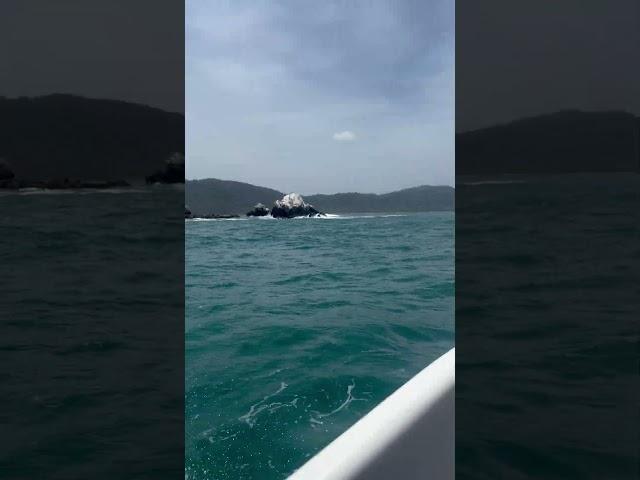 CABO CODERA - PUERTO FRANCÉS