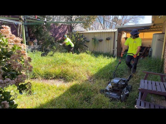 Someone used to love this garden. We try and restore it to its former glory!