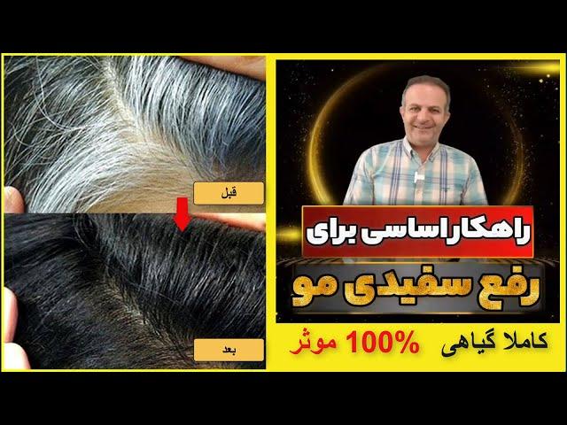 راهکار اساسی برای رفع سفیدی مو کاملا علمی گیاهی 100% موثر -  The basic solution to remove white hair