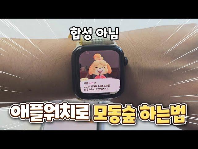요청폭주 애플워치 모동숲 커스텀 하는 법 대공개!!!