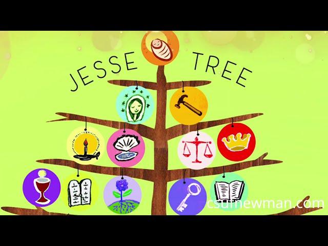 The Advent Minute!  The Jesse Tree