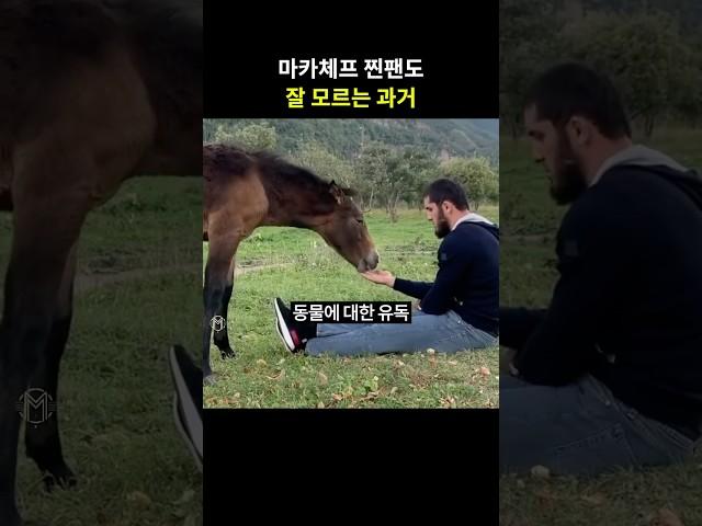 마카체프 찐팬도 모르는 그의 과거 ㅋㅋ