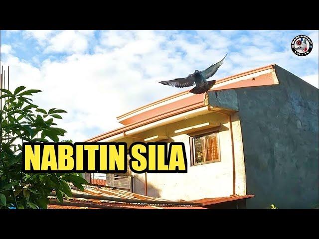 ARRIVAL FROM SAN JUAN TRAINING | 43KM AIR DISTANCE