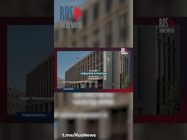 ⭕️ В России запретили чайлдфри | RusNews TOP DATA 20 ноября 2024 #чайлдфри #закон #протест