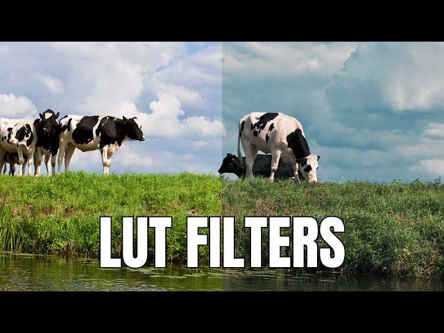 Use These Preset LUT Filters in Filmora 13