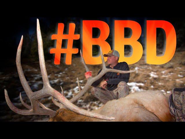 Big Bull Down! Elk Hunting Grizzly Country with Guy Eastman