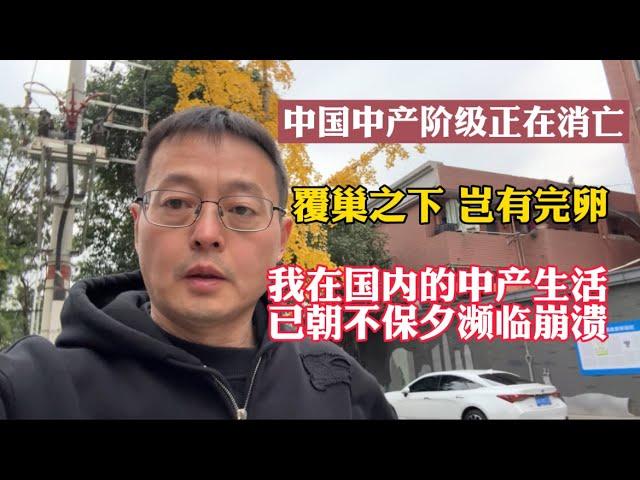 中国中产阶级正在消亡 覆巢之下岂有完卵 我在国内的中产生活已朝不保夕濒临崩溃