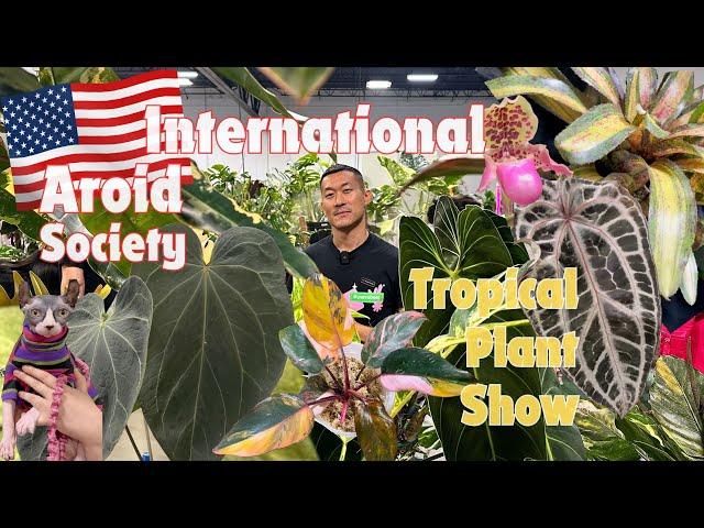 Trending Anthuriums Aroids Hoyas AND More! Meet The Fabulous Community! IAS Tropical Plant Show 2024