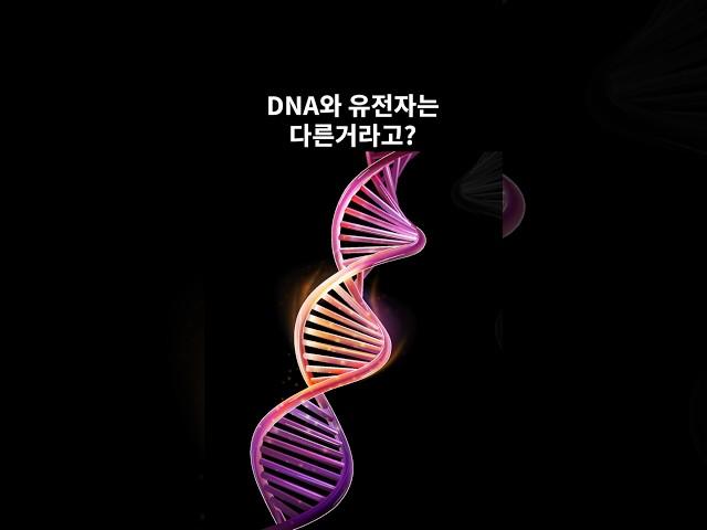 DNA와 유전자는 다른거라고?