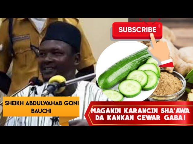 MAGANIN KARANCIN SHA'AWA DA KANKANCEWAR GABA!  SHEIKH ABDULWAHAB GONI BAUCHI! #viral #shortvideo