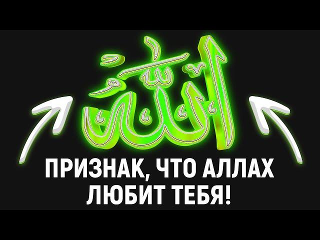 ГЛАВНЫЙ ПРИЗНАК, ЧТО АЛЛАХ ЛЮБИТ ТЕБЯ | Dawah медиа
