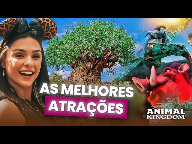 ANIMAL KINGDOM ORLANDO - MELHORES ATRAÇÕES + ROTEIRO PERFEITO DETALHADO - 2024