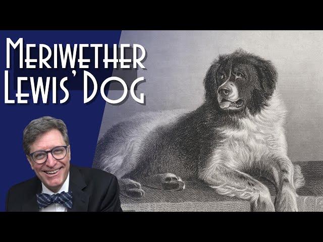 Seaman: Meriwether Lewis' Dog