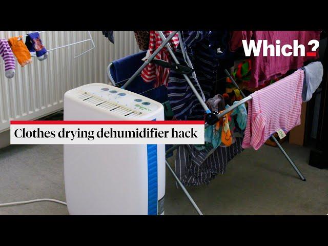 Dehumidifier clothes drying hack - Which?