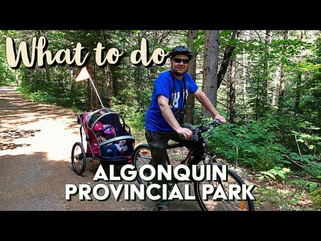 13 Things to do in Algonquin Provincial Park