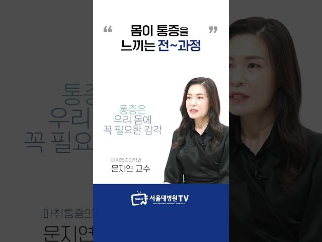 몸이 통증을 느끼는 과정은? #1분건강