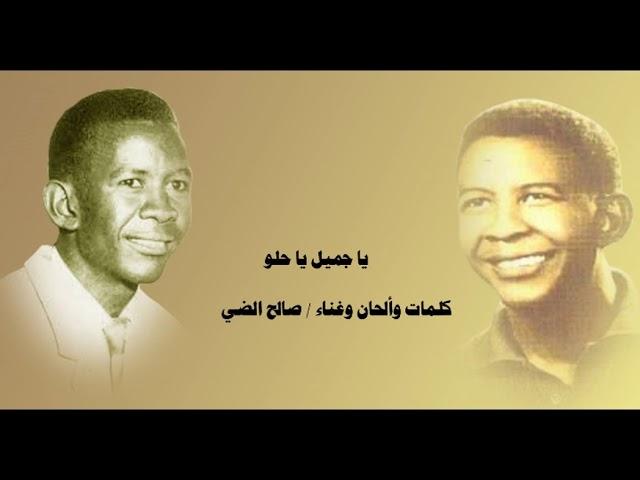 يا جميل يا حلو - صالح الضي