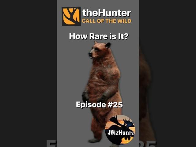 How Rare Is It? Cinnamon Black Bear | Episode 25 | the Hunter Call of the Wild