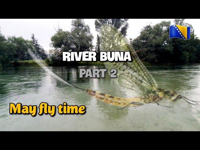 Fly Fishing in Bosnia  | River Buna | Part 2 - May Fly Action